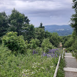 Photo n°11 de l'avis de Susanne.i fait le 20/06/2021 à 16:32 sur le  Klosterschänke Bischofsheim à Bischofsheim in der Rhön