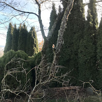 On The Island Landscaping - Photo 8 - Car repair in Duncan, BC, Canada, Bellingham