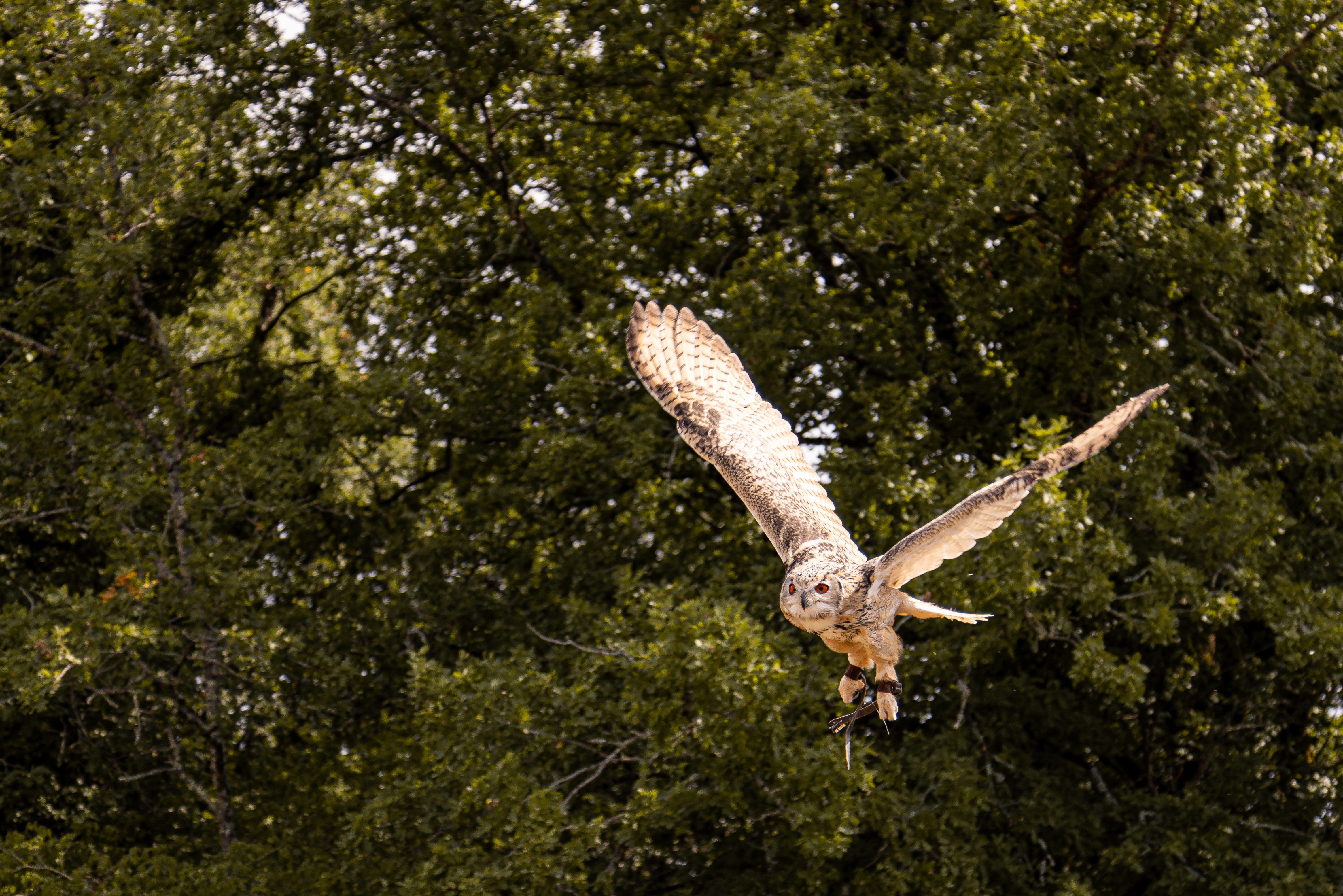 Photo n° 6 de l'avis de Julie.o fait le 14/08/2023 à 09:22