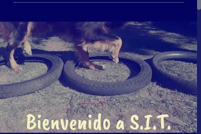 Escuela Canina S.I.T.