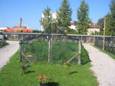 Parc Animalier du Marais à Longueil-Sainte-Marie