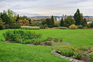 Botanical Gardens and Arboretum Mendel University image