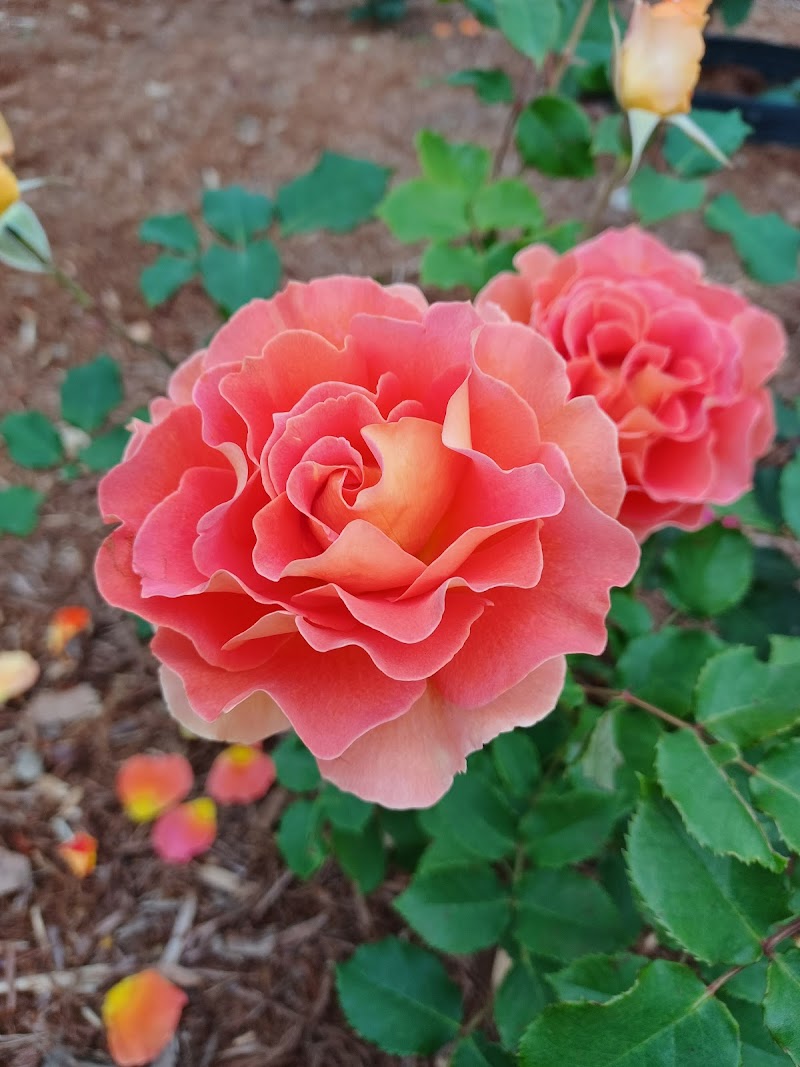 町田市立野津田公園 東京都町田市野津田町 公園 公園 グルコミ