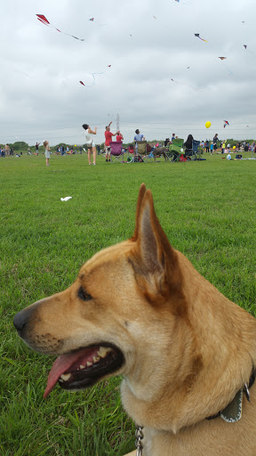 Park «McAllister Park», reviews and photos, 13102 Jones Maltsberger Rd, San Antonio, TX 78247, USA