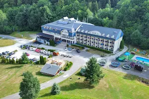 Hotel Plejsy image