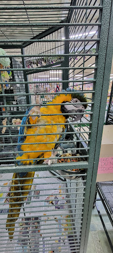 Pet Store «Discount Pet & Supplies», reviews and photos, 16320 Middlebelt Rd, Livonia, MI 48154, USA