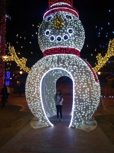 Hardware Store «Sine Ace Hardware», reviews and photos, 7150 N 51st Ave, Glendale, AZ 85301, USA