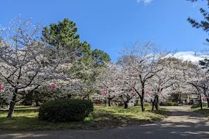 Toyohashi Park image