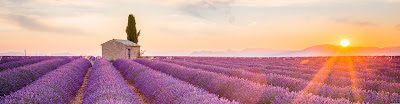 Best Of Provence Tours à Volonne
