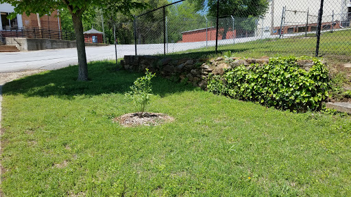 Nature Preserve «Glendale Shoals Preserve», reviews and photos, Emma Cudd Rd, Spartanburg, SC 29302, USA