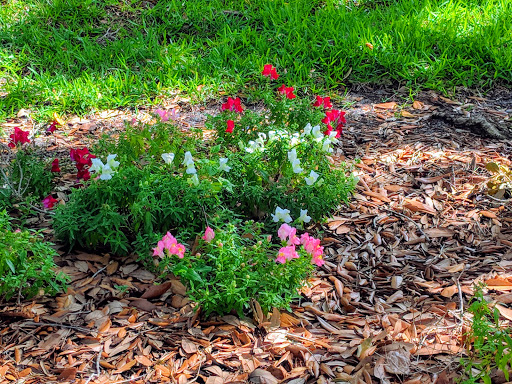 Golf Course «Celebration Golf Club», reviews and photos, 701 Golfpark Dr, Kissimmee, FL 34747, USA