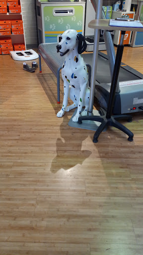 Running Store «Road Runner Sports», reviews and photos, 12200 Northup Way, Bellevue, WA 98005, USA