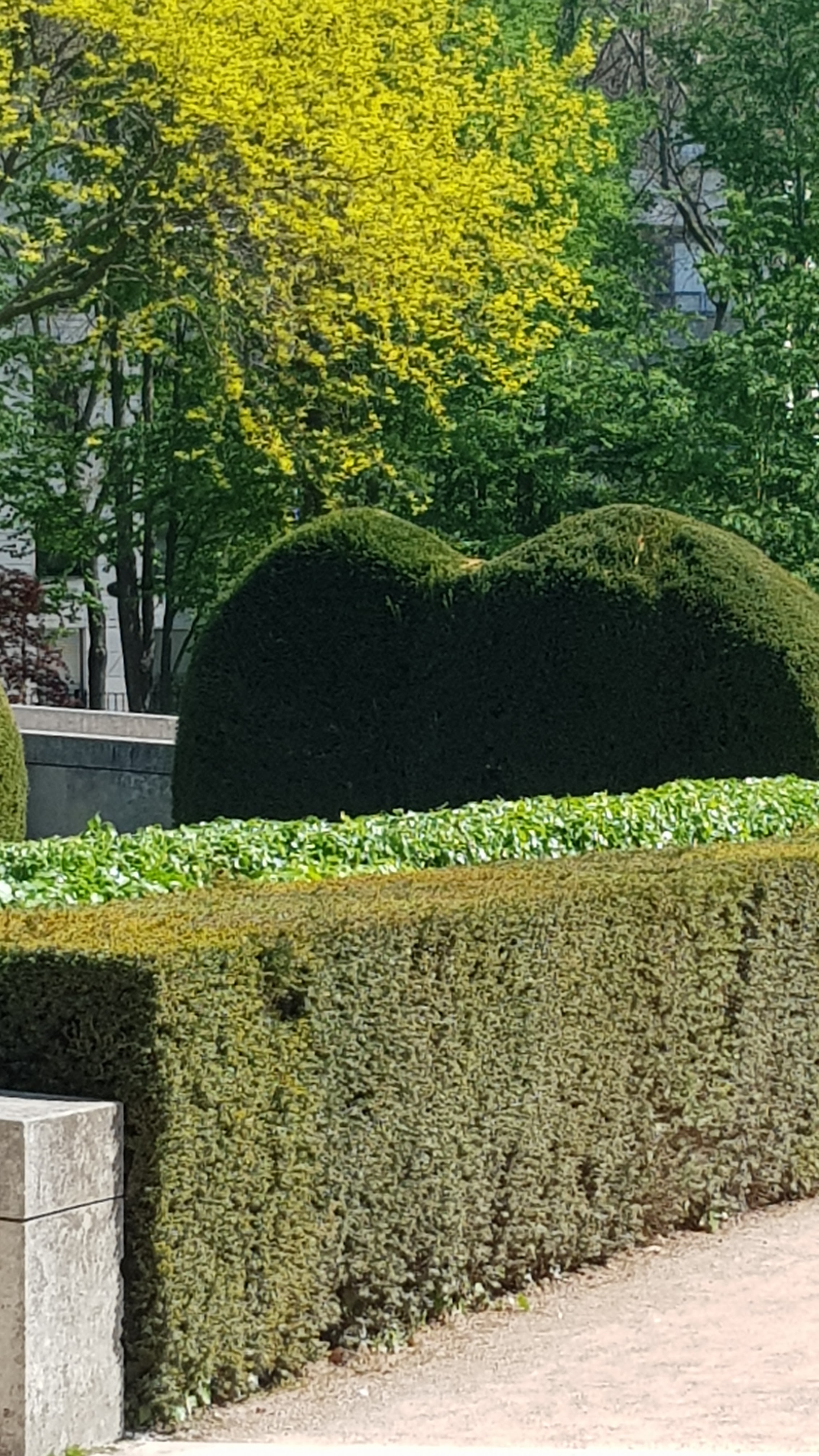 Photo n° 8 de l'avis de Laperle.i fait le 21/04/2019 à 00:27