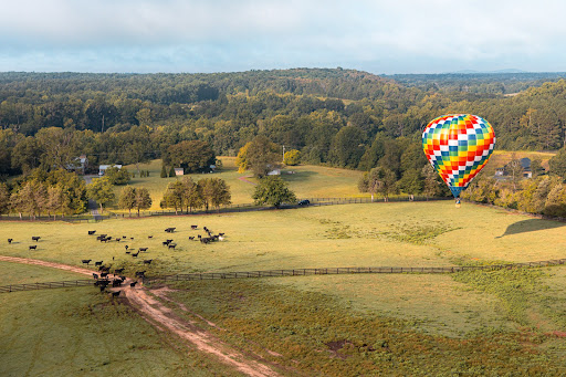 Circus «The Flying Circus AirShow», reviews and photos, 5114 Co Rd 644, Bealeton, VA 22712, USA