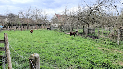Ferme l'Arbre à Poule à Villers-Saint-Paul