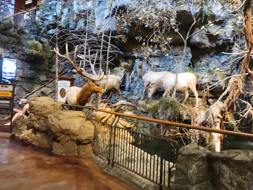 Sporting Goods Store «Bass Pro Shops», reviews and photos, 1935 S Campbell Ave, Springfield, MO 65807, USA