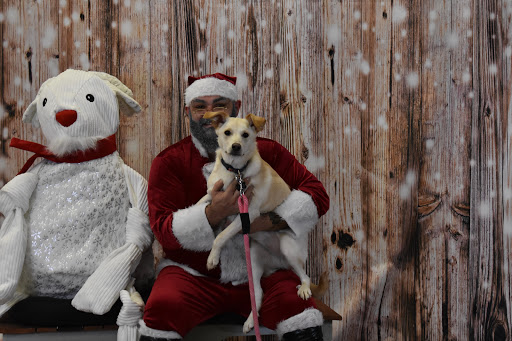 Pet Supply Store «Thomaston Feed of Cheshire», reviews and photos, 851 S Main St, Cheshire, CT 06410, USA