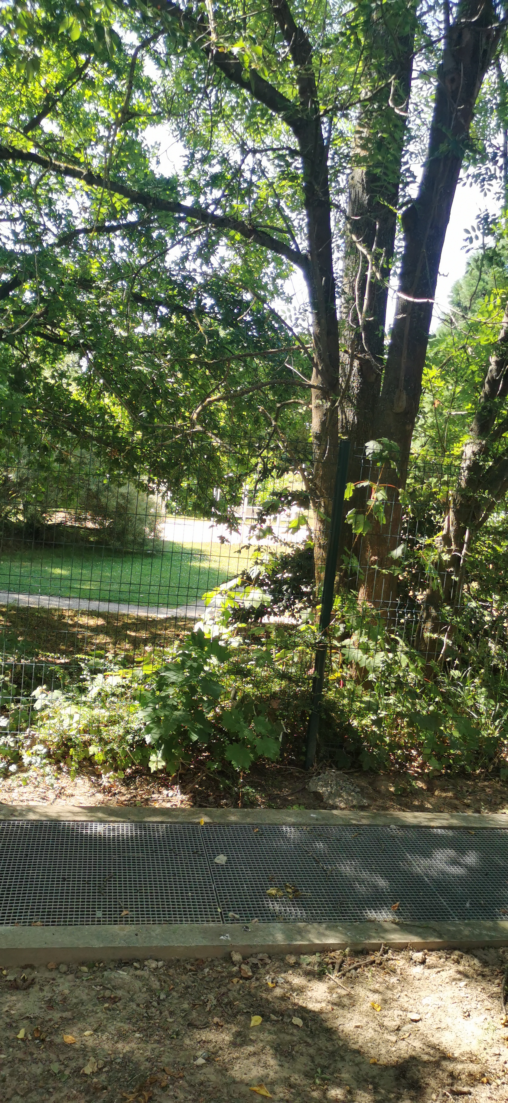 Photo n° 13 de l'avis de Elena. fait le 23/07/2022 à 16:24