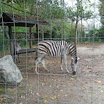 Photo n° 4 de l'avis de Mylène. fait le 01/11/2021 à 22:08 pour Zoo d'Amiens Métropole à Amiens