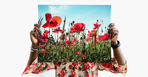 Photo Lab «Nations Photo Lab», reviews and photos, 11103 Pepper Rd, Cockeysville, MD 21030, USA