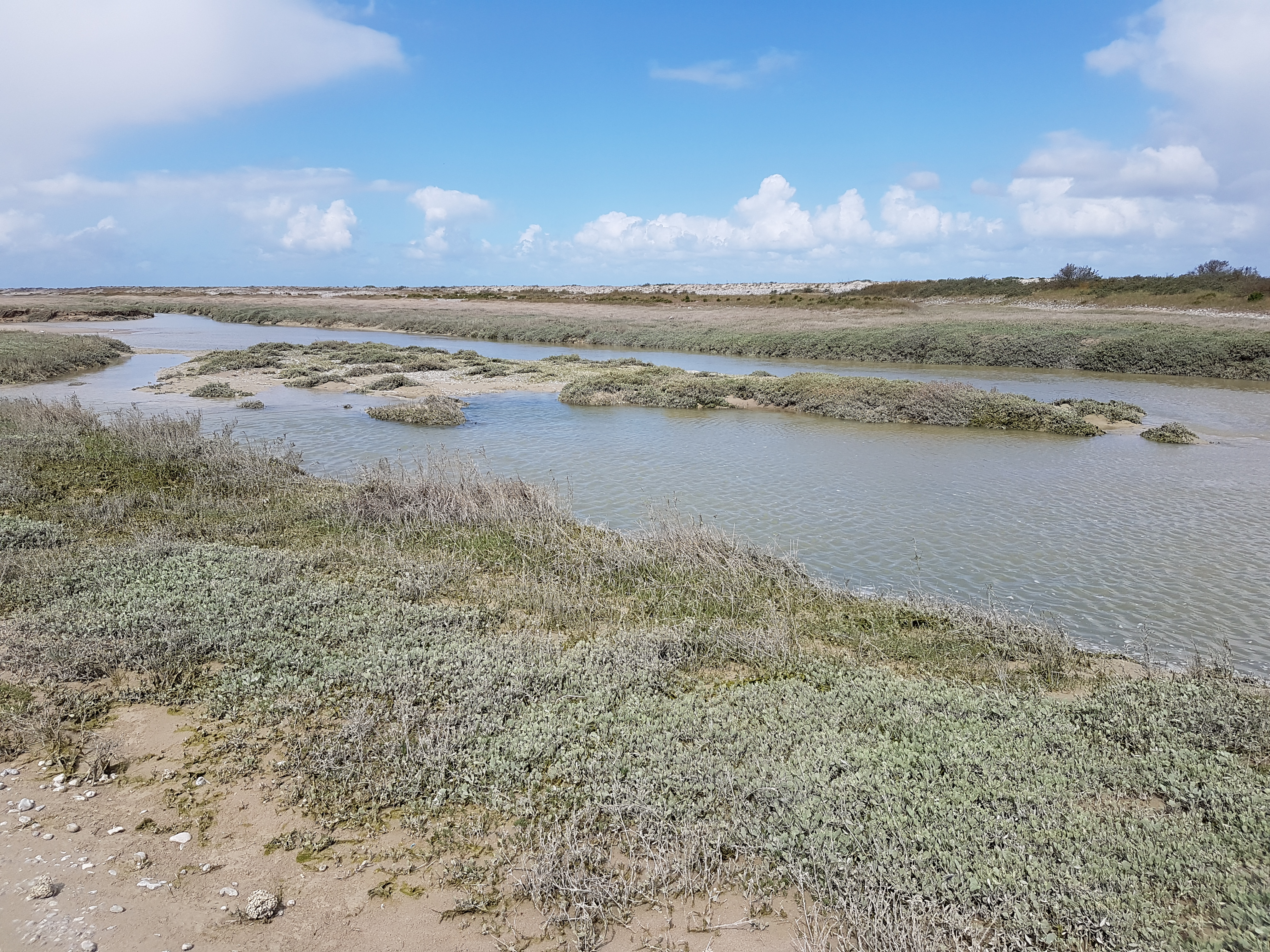 Photo n° 6 de l'avis de Christophe.a fait le 04/05/2019 à 14:33
