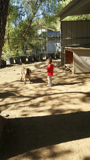 Event Planner «Team Play Events», reviews and photos, 2854 Triunfo Canyon Rd, Agoura Hills, CA 91301, USA