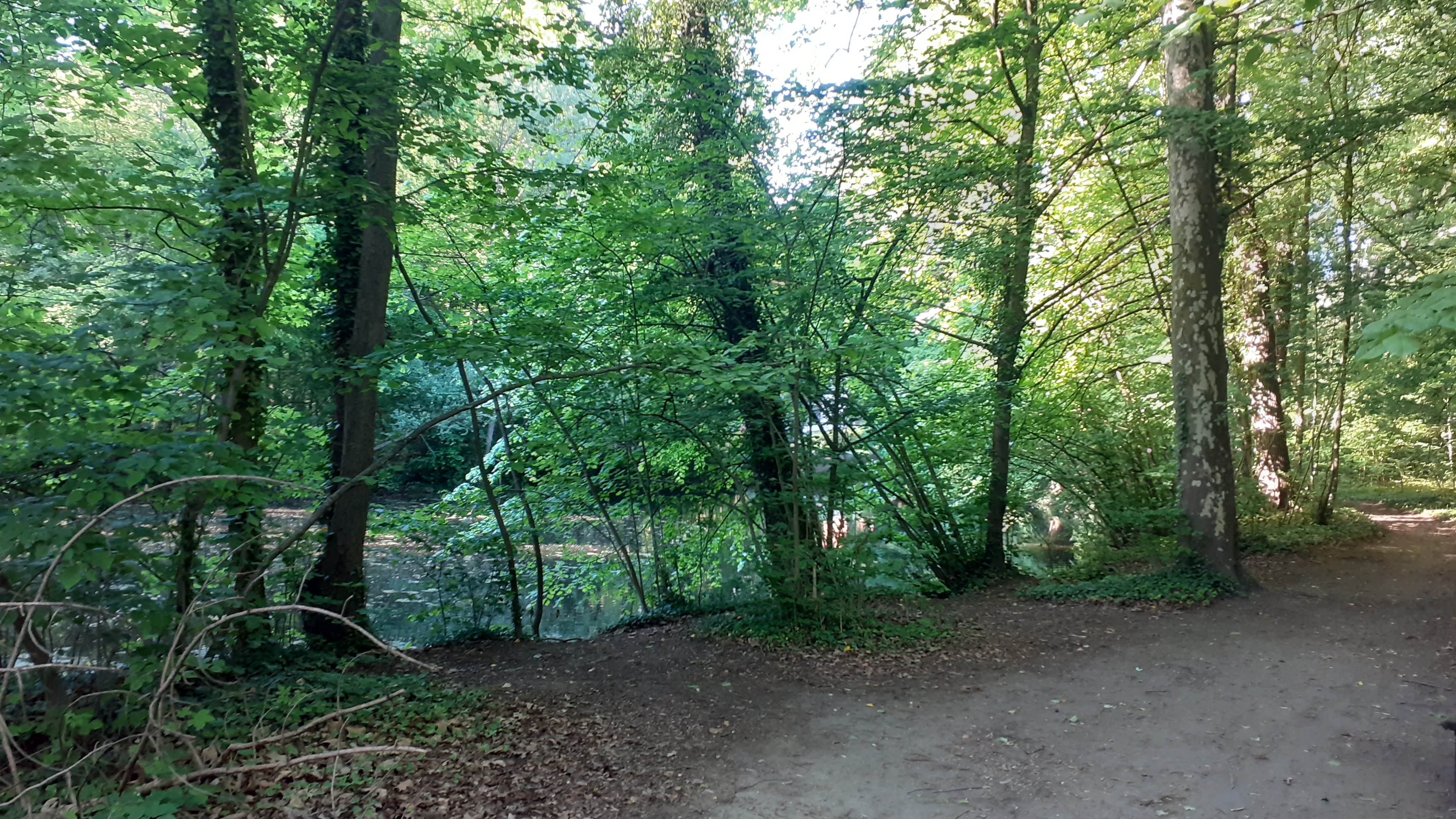 Photo n° 21 de l'avis de Michel. fait le 04/11/2019 à 16:32