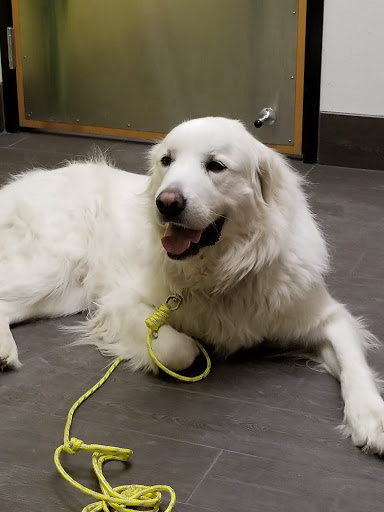 Pet Supply Store «PetSmart», reviews and photos, 2865 Oak Valley Dr, Ann Arbor, MI 48103, USA