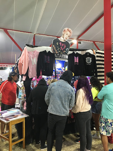Opiniones de Feria Expo Serena en La Serena - Centro comercial