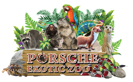 Porsche Exotic Zoo