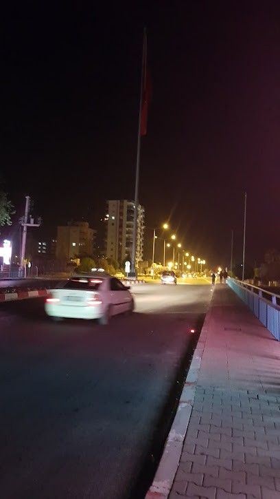 Şehit Uzm.Çvş Hasan Furkan Özmen Köprüsü