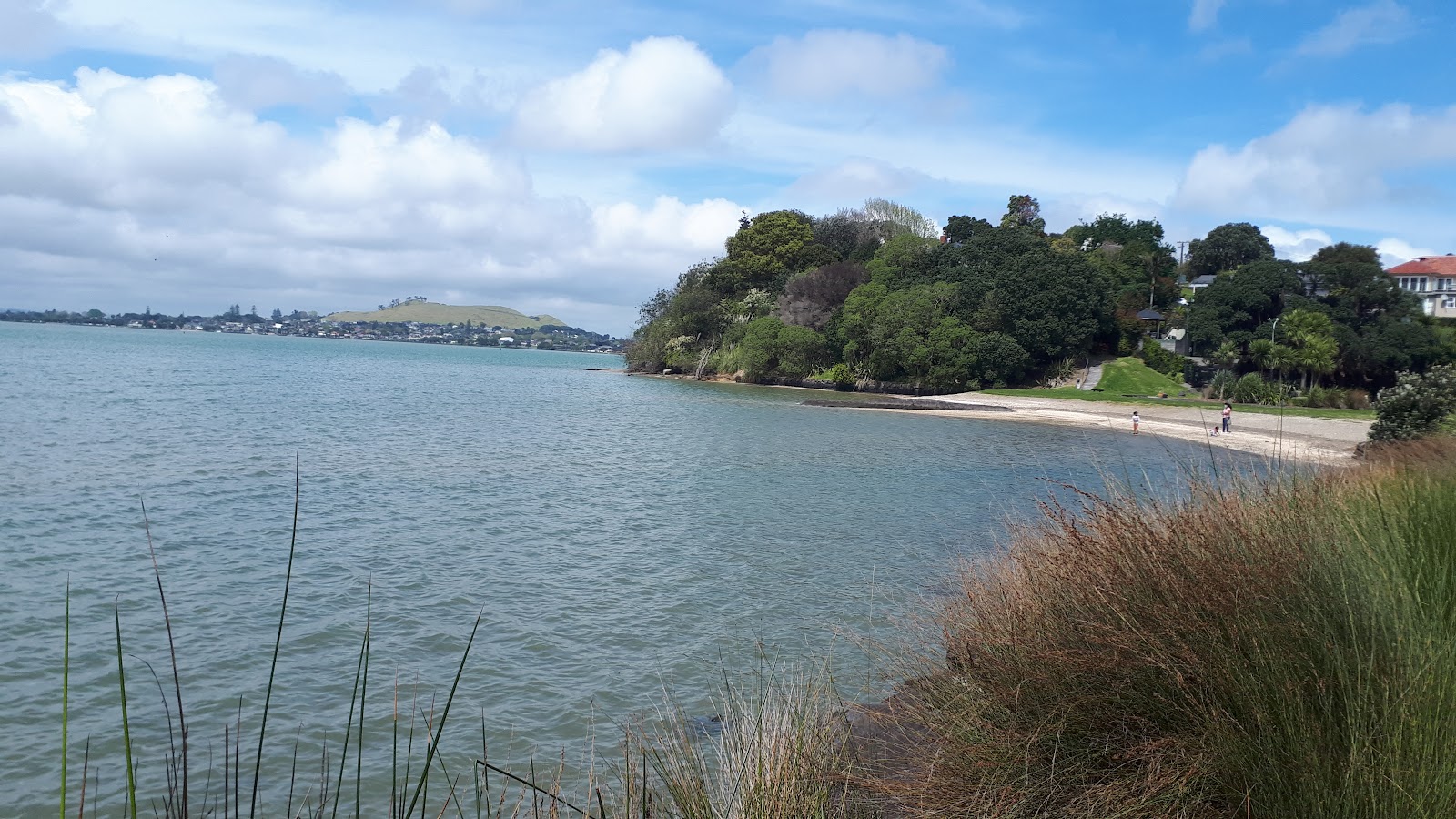 Taylors Bay'in fotoğrafı çok temiz temizlik seviyesi ile