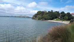 Taylors Bay'in fotoğrafı çok temiz temizlik seviyesi ile