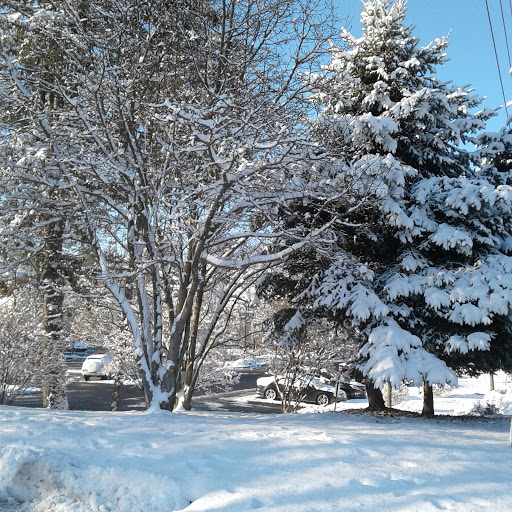 Store «Darien Butcher Shop», reviews and photos, 13 Grove St, Darien, CT 06820, USA