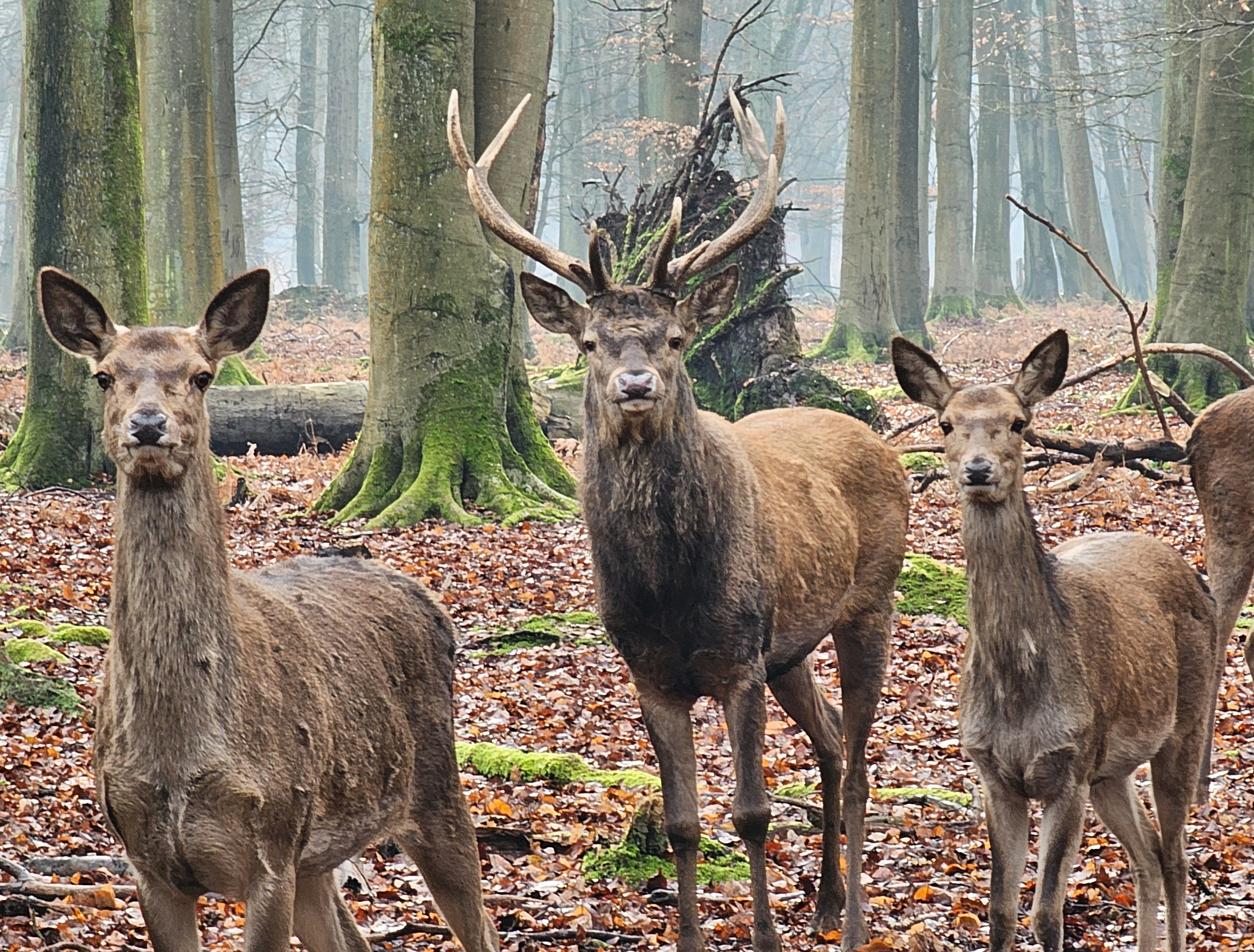 Photo n° 17 de l'avis de Nono.h fait le 09/12/2023 à 09:20