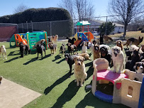 White Oak Dog Training Center - Photo 5 - Car repair in Fredericksburg, VA, Fredericksburg