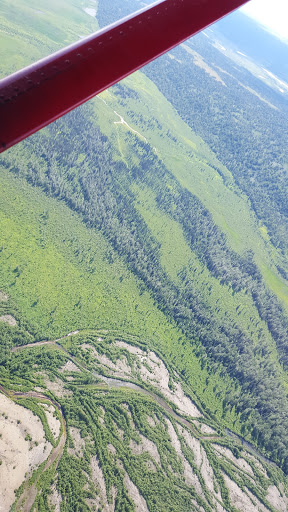 National Park «Denali National Park and Preserve», reviews and photos