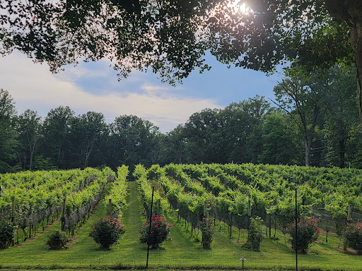 Winery «Paradise Springs Winery», reviews and photos, 13219 Yates Ford Rd, Clifton, VA 20124, USA