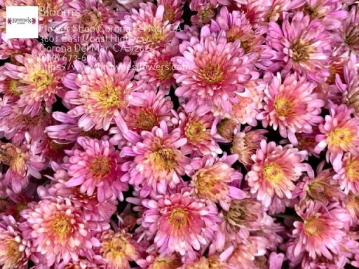 Florist «Blooms», reviews and photos, 3601 East Coast Hwy, Corona Del Mar, CA 92625, USA