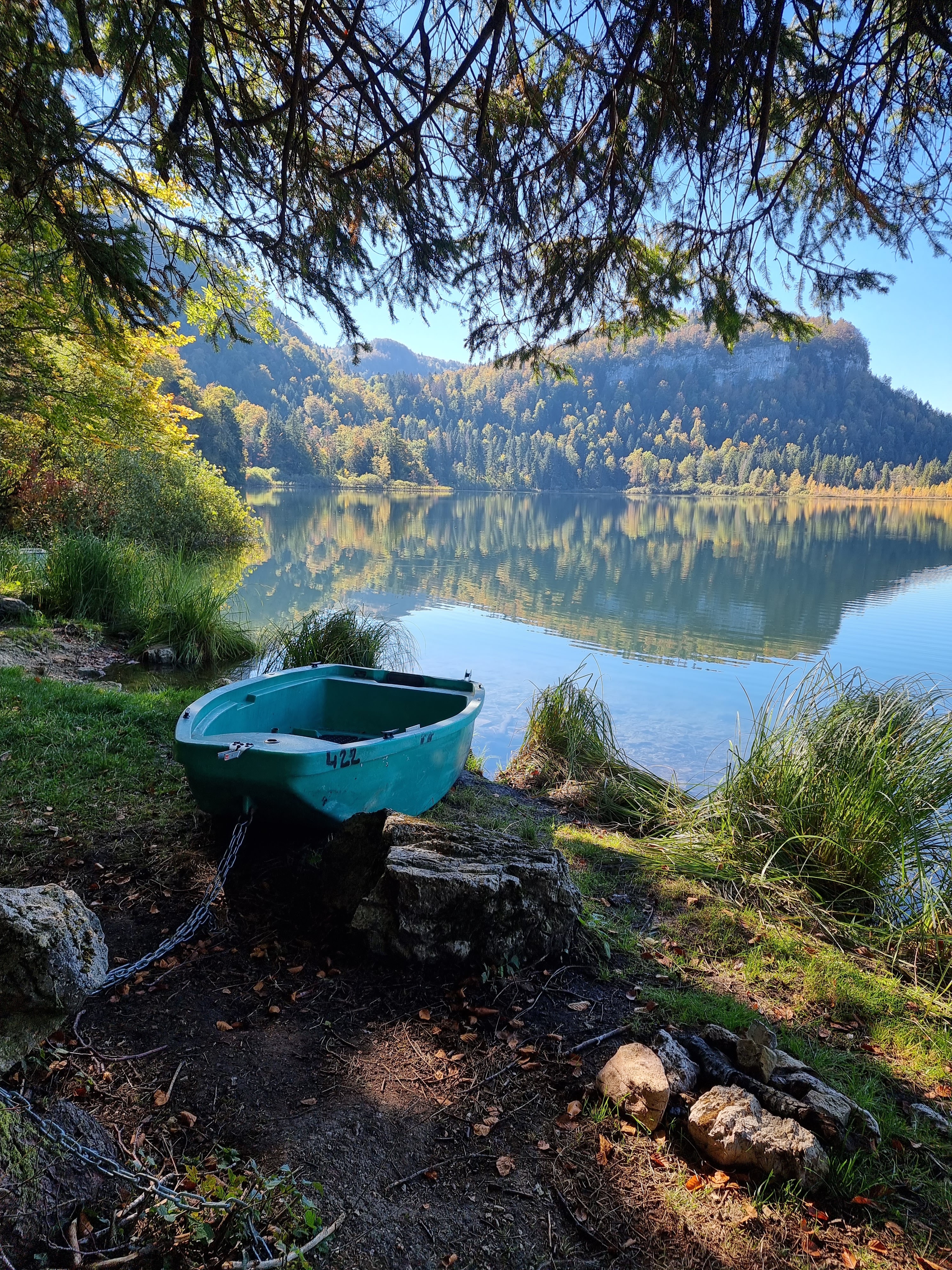 Photo n° 7 de l'avis de Viktória.i fait le 16/10/2021 à 14:46