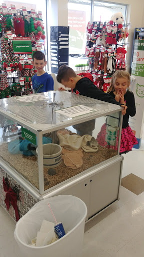 Pet Supply Store «Pet Supplies Plus», reviews and photos, 500 S St W, Raynham, MA 02767, USA