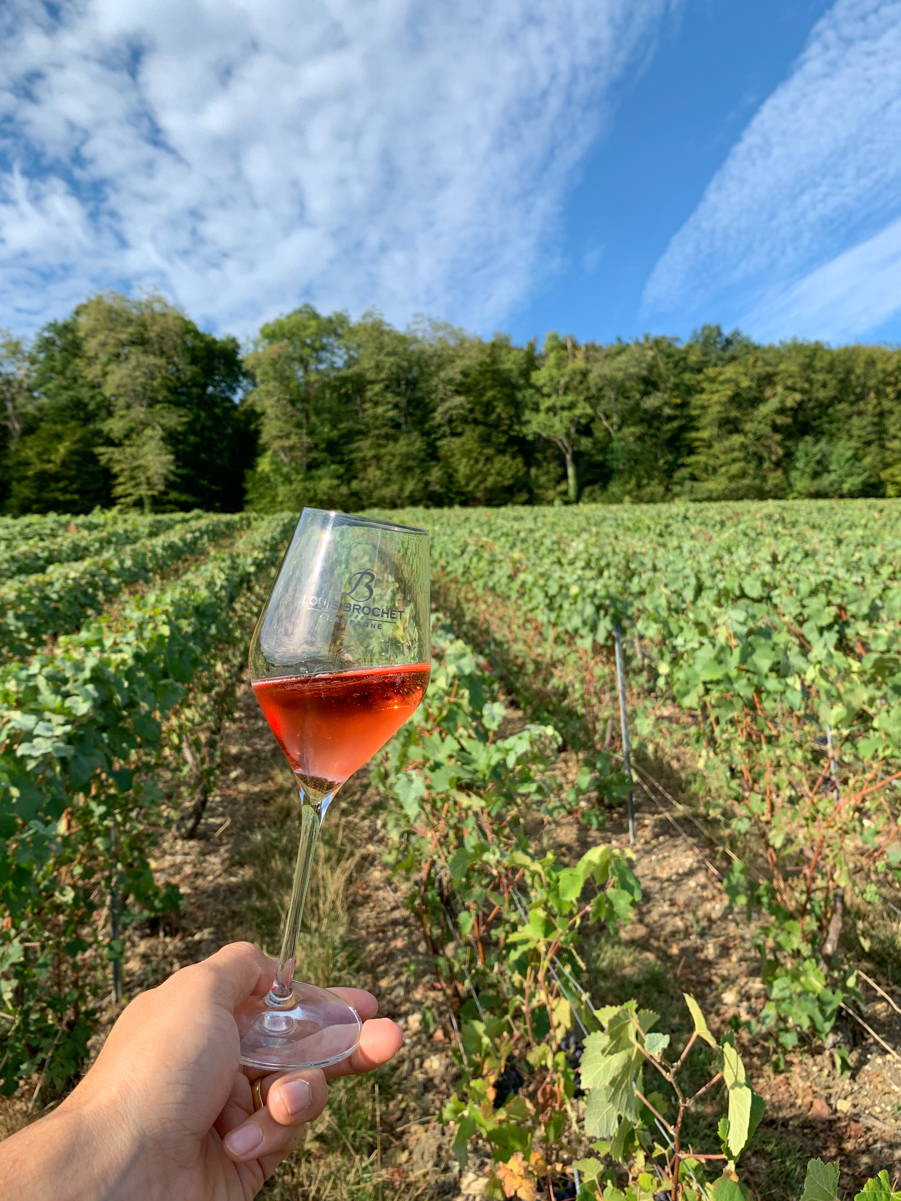 Photo n° 4 de l'avis de romain.a fait le 30/10/2020 à 13:44
