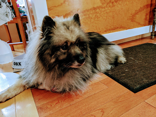 Pet Supply Store «Outer Barks - Water Front Shops», reviews and photos, 1240 Duck Rd, Duck, NC 27949, USA