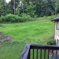 Lawn Care and More - Photo 6 - Car repair in , Johnson City