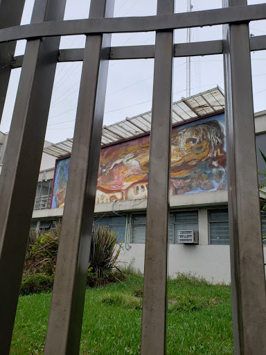 Facultad de Ciencias Químicas de la Universidad Veracruzana