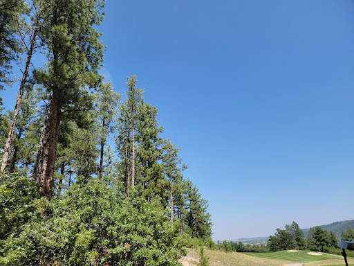 Golf Club «Golf Club At Bear Dance», reviews and photos, 6630 Bear Dance Dr, Larkspur, CO 80118, USA