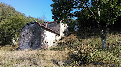 Étang du Moulin à Faucogney-et-la-Mer