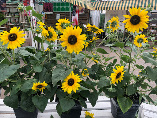 Garden Center «Gro-Rite Garden Center & Florist», reviews and photos, 30 Hillview Rd, Lincoln Park, NJ 07035, USA