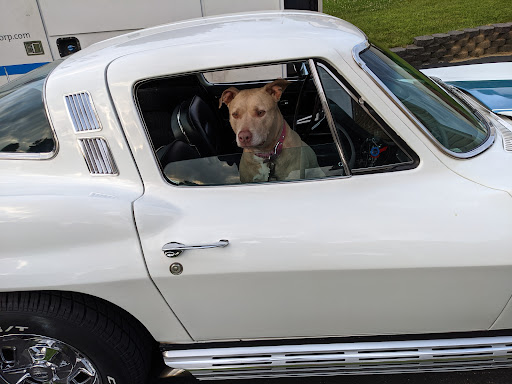 Auto Parts Store «AutoZone», reviews and photos, 5300 W Baltimore Ave, Clifton Heights, PA 19018, USA