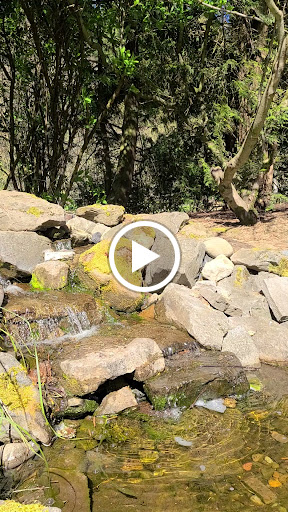 Tourist Attraction «NatureScaping Wildlife Botanical Gardens», reviews and photos, 11000 NE 149th St, Brush Prairie, WA 98606, USA